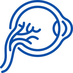 Diabetic retinopathy Diabetic retinopathy